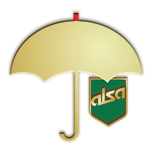 insurance icon